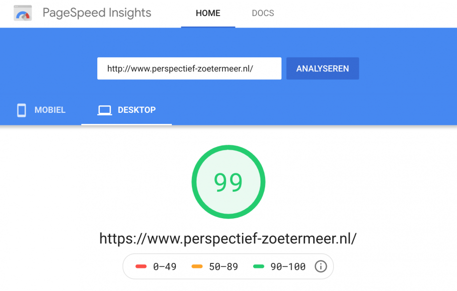 Google Page Speed resultaat klant