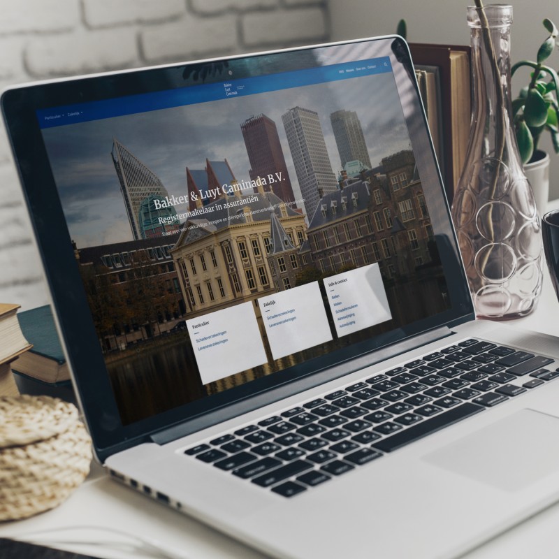 Registermakelaar in assurantiën