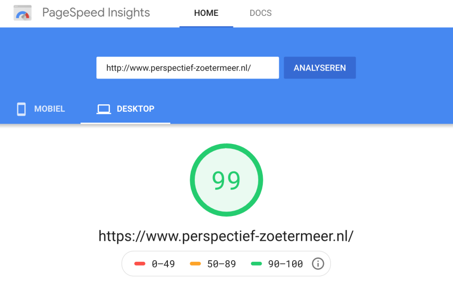 Google Page Speed resultaat klant