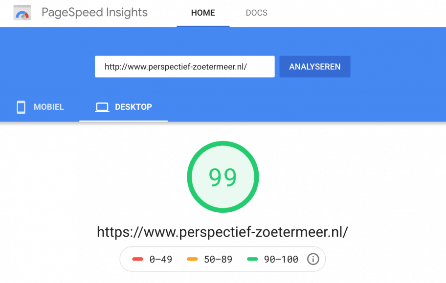 Google Page Speed resultaat klant